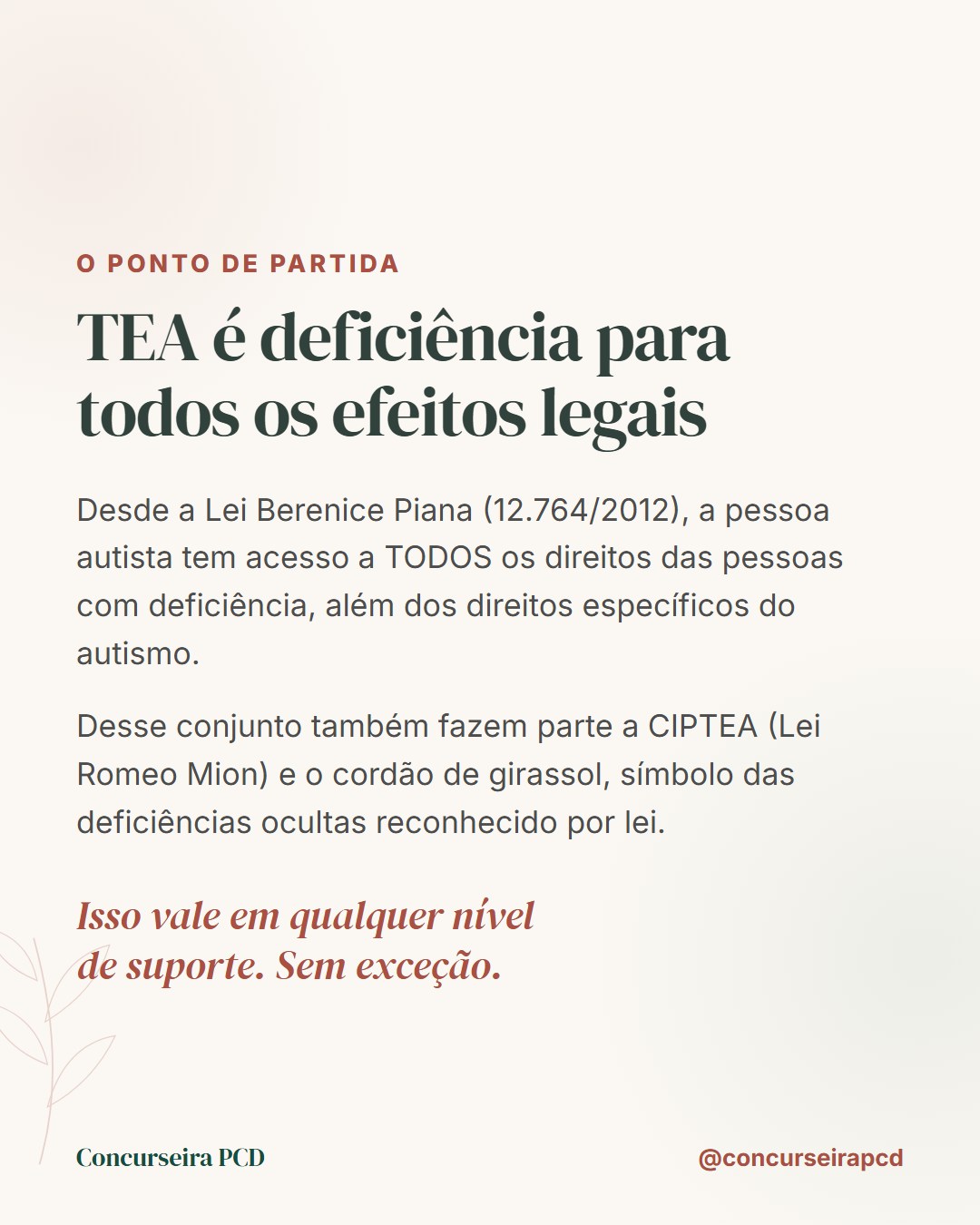 O ponto de partida: TEA é deficiência para todos os efeitos legais desde a Lei Berenice Piana, em qualquer nível de suporte