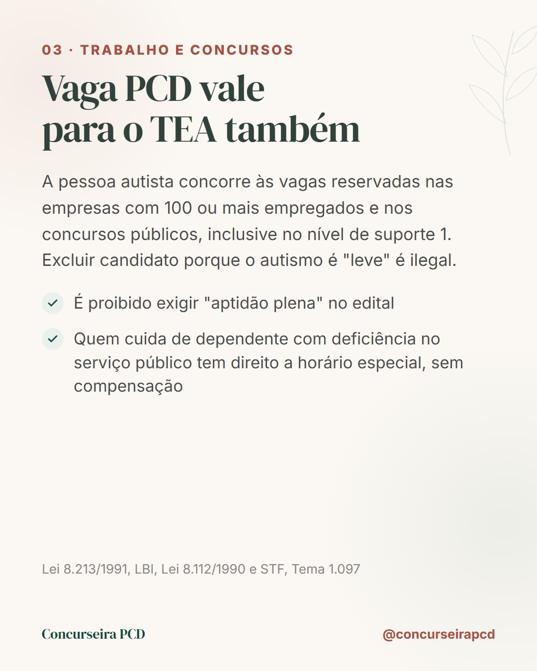 Trabalho e concursos: a vaga PCD vale para o TEA também, inclusive no nível de suporte 1; excluir por autismo leve é ilegal